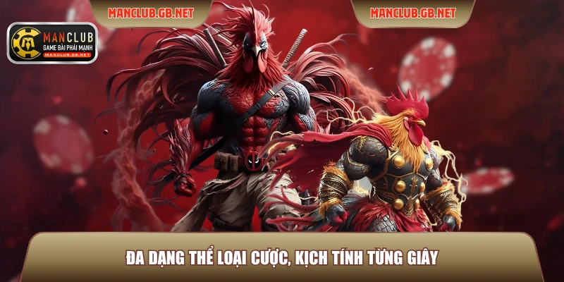 Đa dạng thể loại cược, kịch tính từng giây