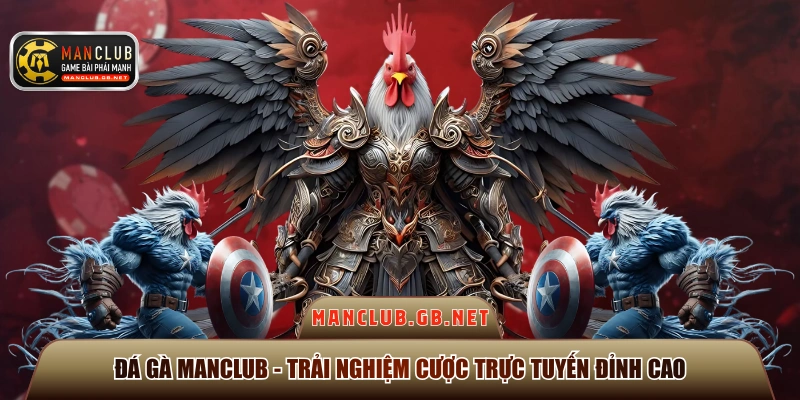 Đá gà manclub