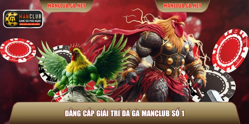 Đẳng cấp giải trí Đá gà Manclub số 1