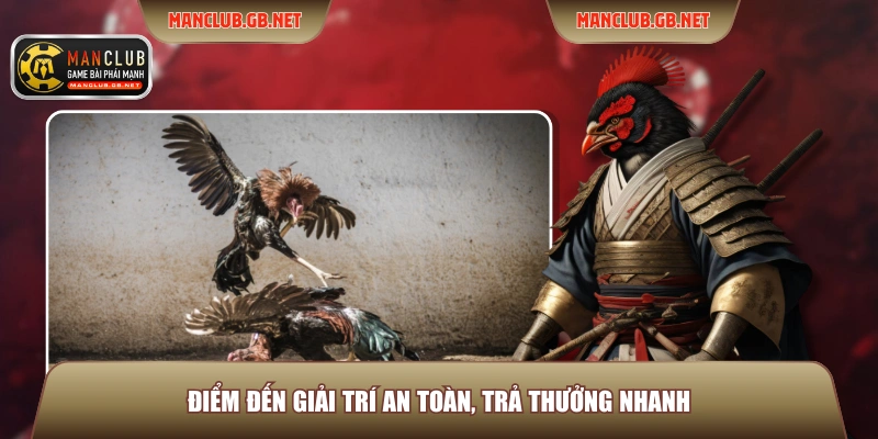 Đá Gà Manila ManClub – Trải Nghiệm Đấu Trường Chuẩn Quốc Tế 4 Điểm đến giải trí an toàn, trả thưởng nhanh