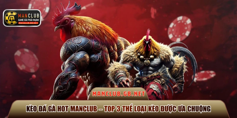 Kèo Đá Gà Hot ManClub – Top 3 Thể Loại Kèo Được Ưa Chuộng 1 kèo đá gà hot Manclub