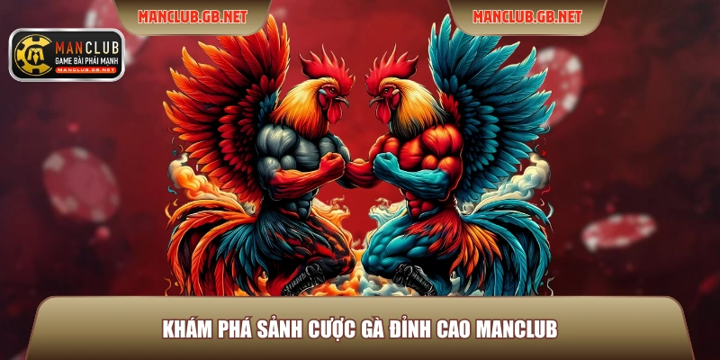 Mẹo Chơi Đá Gà ManClub Hay Để Luôn Nắm Chắc Phần Thắng 2 Khám phá sảnh cược gà đỉnh cao Manclub