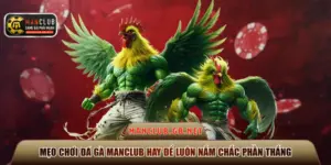 mẹo chơi đá gà Manclub