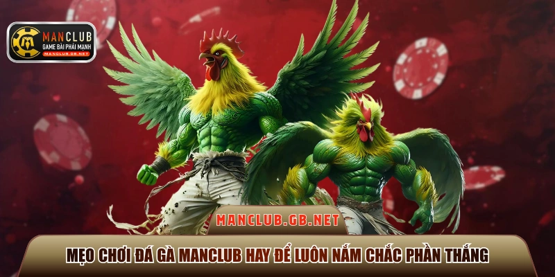 Mẹo Chơi Đá Gà ManClub Hay Để Luôn Nắm Chắc Phần Thắng 1 mẹo chơi đá gà Manclub