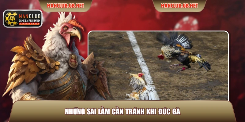 Chọn Gà Chọi ManClub - Hướng Dẫn Xem Tướng Gà Chuẩn Nhất 4 Những sai lầm cần tránh khi đúc gà