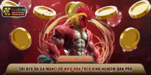 Soi kèo đá gà Manclub