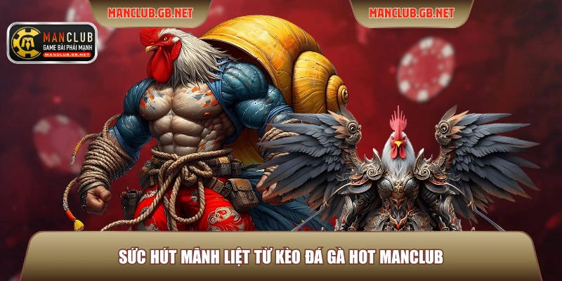 Kèo Đá Gà Hot ManClub – Top 3 Thể Loại Kèo Được Ưa Chuộng 2 Sức hút mãnh liệt từ kèo đá gà hot Manclub