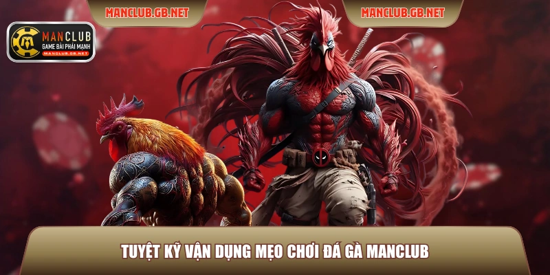 Mẹo Chơi Đá Gà ManClub Hay Để Luôn Nắm Chắc Phần Thắng 3 Tuyệt kỹ vận dụng mẹo chơi đá gà Manclub